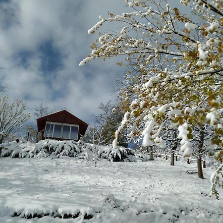 Holiday Home Nanin Konak 2 Vrdnik Eksteriør billede