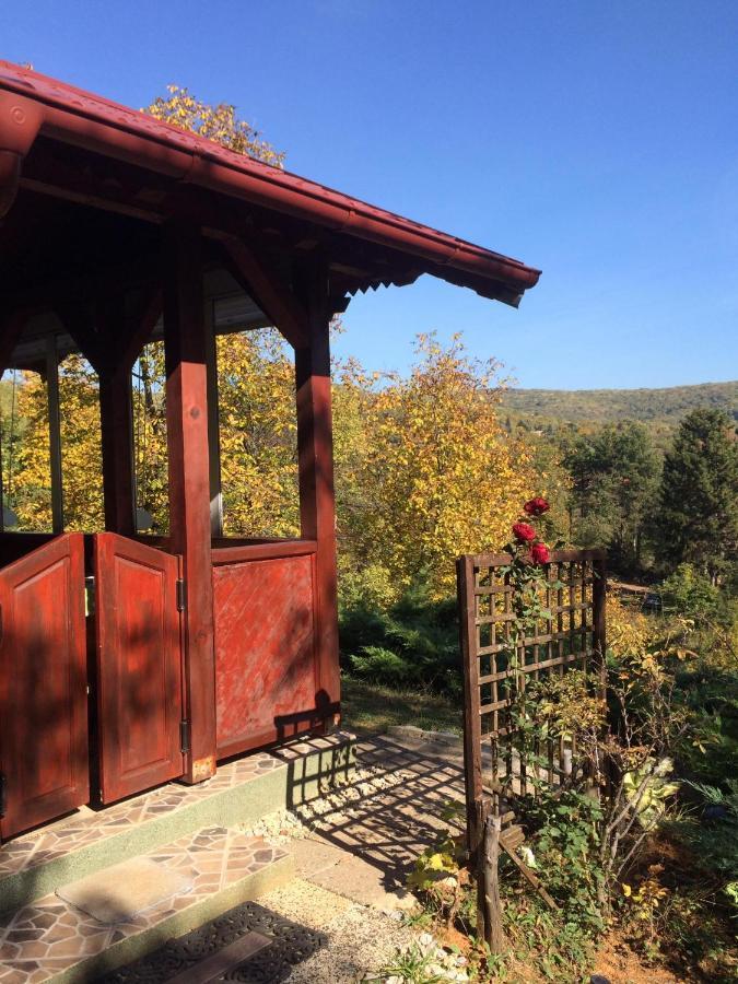 Holiday Home Nanin Konak 2 Vrdnik Eksteriør billede