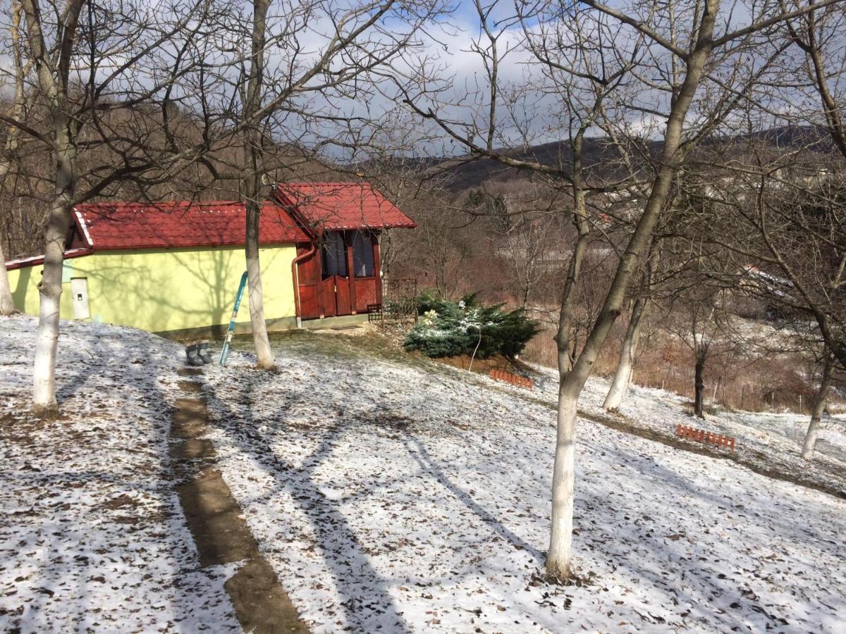 Holiday Home Nanin Konak 2 Vrdnik Eksteriør billede
