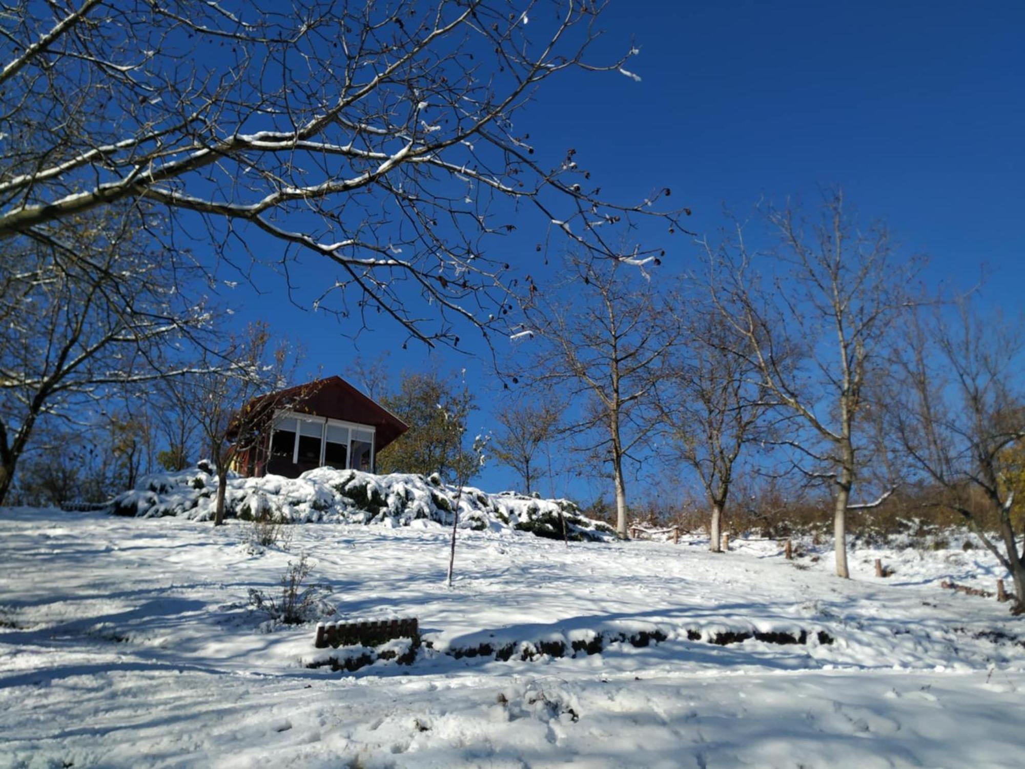 Holiday Home Nanin Konak 2 Vrdnik Eksteriør billede